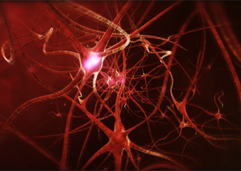 mirror neurons img